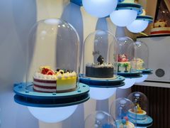 -卡吉诺动物奶油生日蛋糕(中原路店)