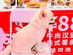 -VT101维多利广场