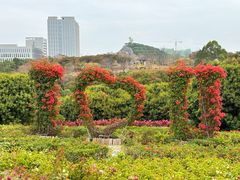 -东莞植物园