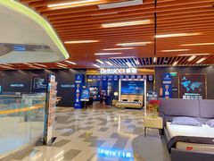 -红星美凯龙全球家居艺术博览中心(沙田广场店)