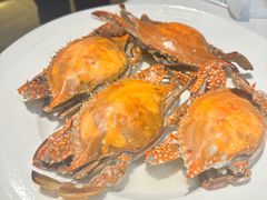 -小螺号海鲜·地道鲁菜(省体总店)