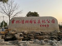 -合肥滨湖国家森林公园