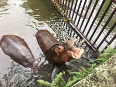 -海南热带野生动植物园