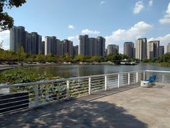 -新江湾城公园
