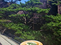 -黄山玉屏楼宾馆餐厅