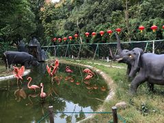 -无锡动物园·太湖欢乐园