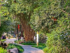 -成都市活水公园