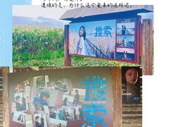 -宁波杭州湾国家湿地公园