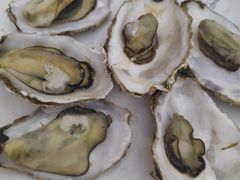 -悠然湯·汗蒸汤泉会馆