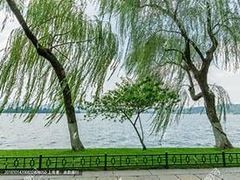 -柳浪闻莺公园