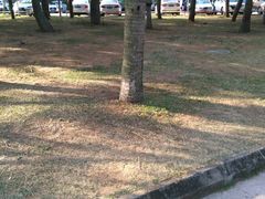 -白沙门生态公园