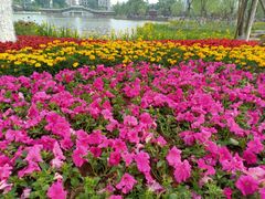 -西海子公园
