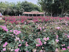 -深圳龙潭公园
