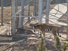 -青藏高原野生动物园