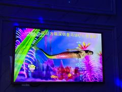 -皇马纯KTV·量贩·聚会(民治店)