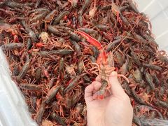 -小赵小吃(城西总店)