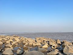 -上海吴淞炮台湾国家湿地公园