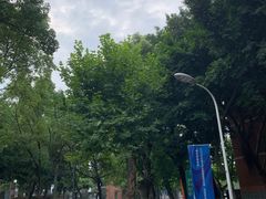 -四川大学(望江校区)