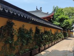 -丝绸小镇荻港古村