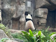-香港海洋公园