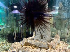 -太平洋海底世界