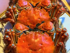 -王宝和酒家(黄浦店)