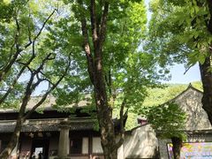 -宁波市保国寺古建筑博物馆