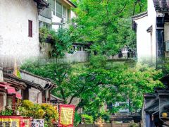 -绍兴鲁迅故里·沈园景区