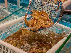 -邹开喜·炭炉鸡煲·海鲜火锅(虹口足球场店)