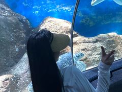 -大连圣亚海洋世界