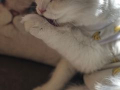 -猫和宫(六道口店)