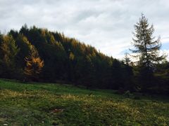 -硗碛藏寨·神木垒景区