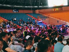 -俄罗斯国家大马戏团