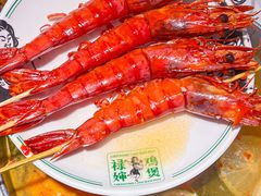 -禄婶鸡煲·打边炉