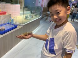 -Moni星球萌宠·小马宝莉·灵蛇·高端高阶全萌宠互动体验俱乐部(红豆国际广场店)