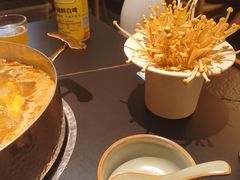 -季季山·云南野生菌火锅(上海首店)