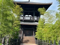 -大唐贡茶院