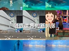 -烟台海昌鲸鲨海洋公园