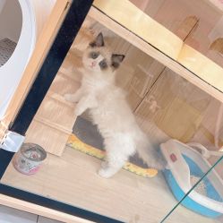 -花系美·美甲美睫精品店