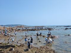 -青岛第二海水浴场