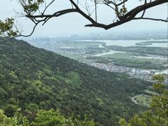 -新江湾城公园