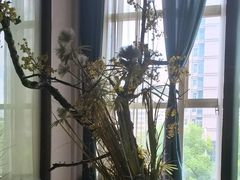 -见康道莱•足浴按摩•艾灸•SPA(友谊店)