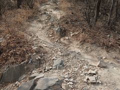 -阳台山自然风景区