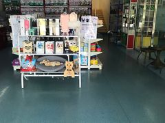 -瑞派宠物医院·24小时骨科·心脏·核磁(哈尔滨南岗店)