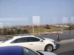 -合肥滨湖国家森林公园