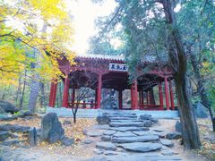 -香山公园