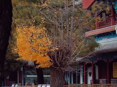 -潭柘寺景区