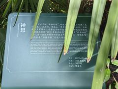 -北极阁公园