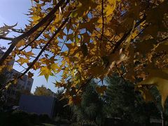 android_upload_pic-辽宁大学(崇山校区)