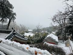 -潭柘寺景区